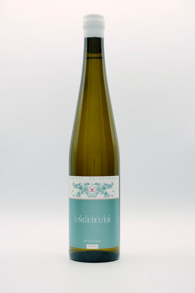 2023 - Forster Ungeheuer Riesling - Andres Deidesheim