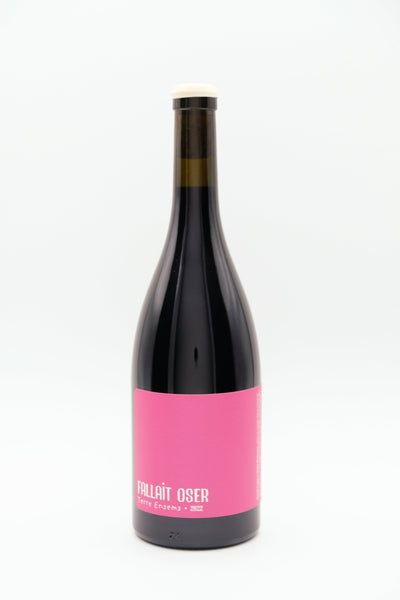 2022 - "Fallait Oser", Domaine Terre Ensems - Vino Infernale 