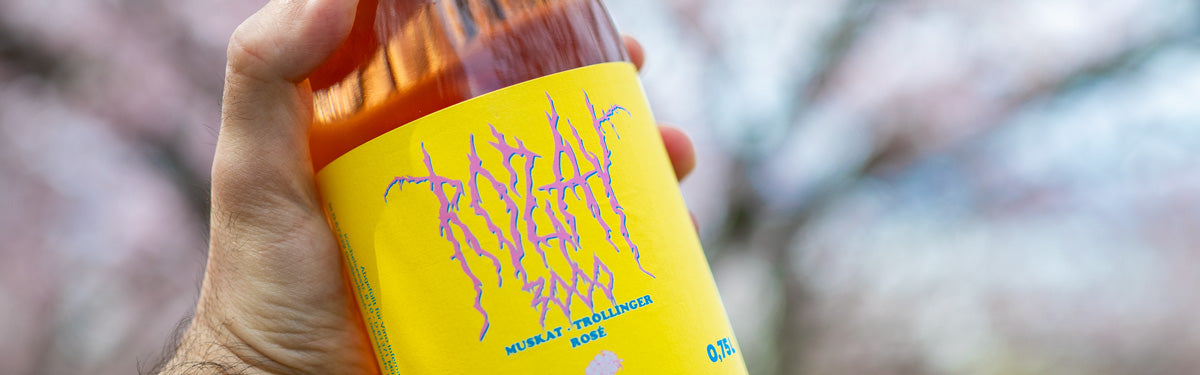 Hand hält eine Flasche Roséwein aus Muskat und Trollinger vor blühenden Bäumen.