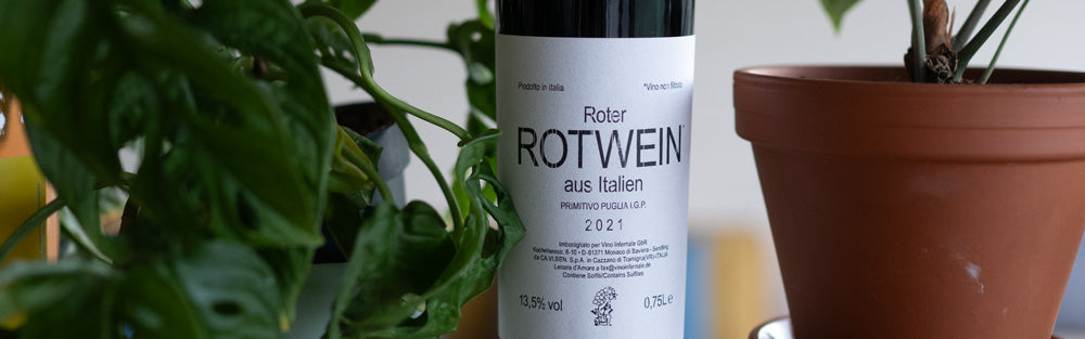 Eine Flasche italienischer Rotwein 2021 zwischen grünen Zimmerpflanzen.