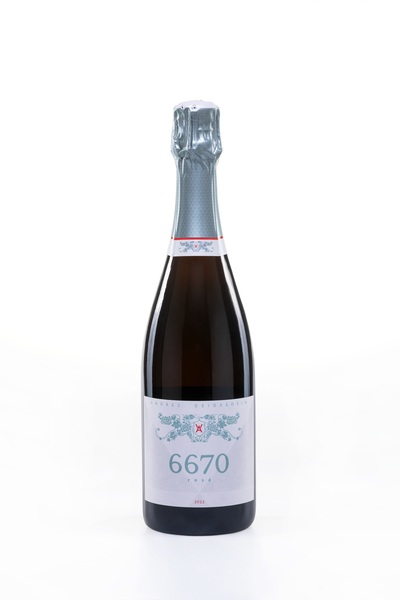 2022 - 6670 Rose - Andres Deidesheim